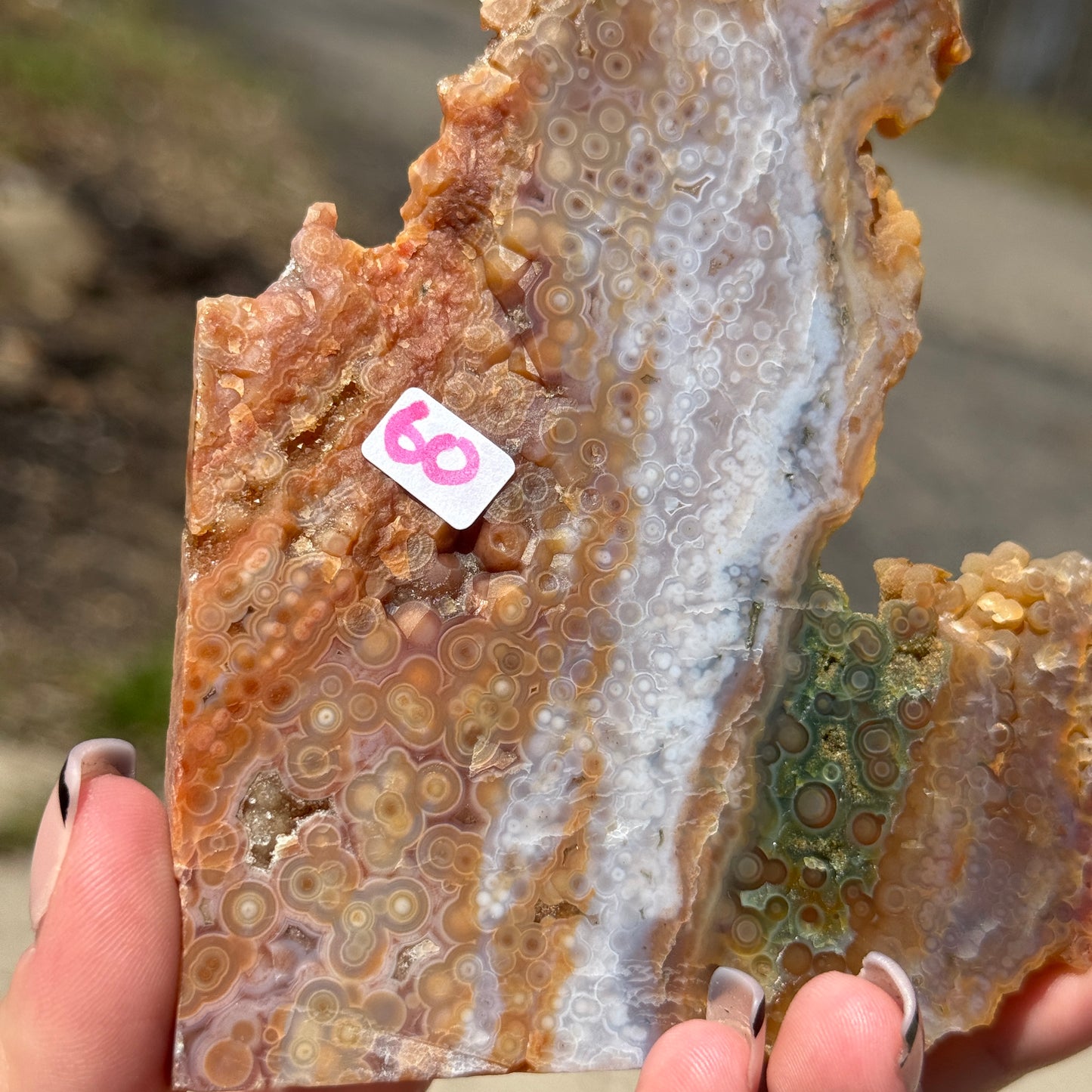 Ocean Jasper Slab