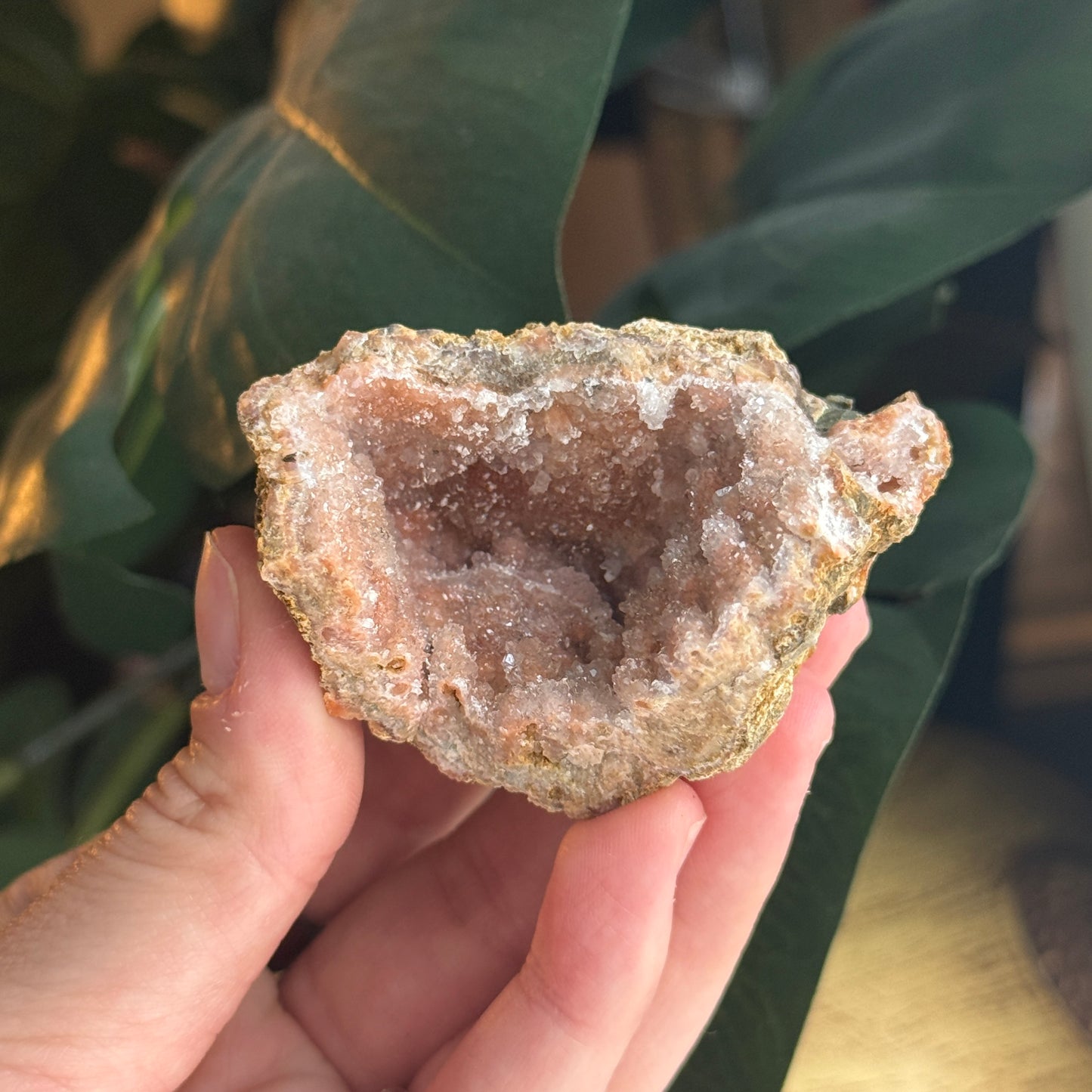 Botryoidal Chalcedony