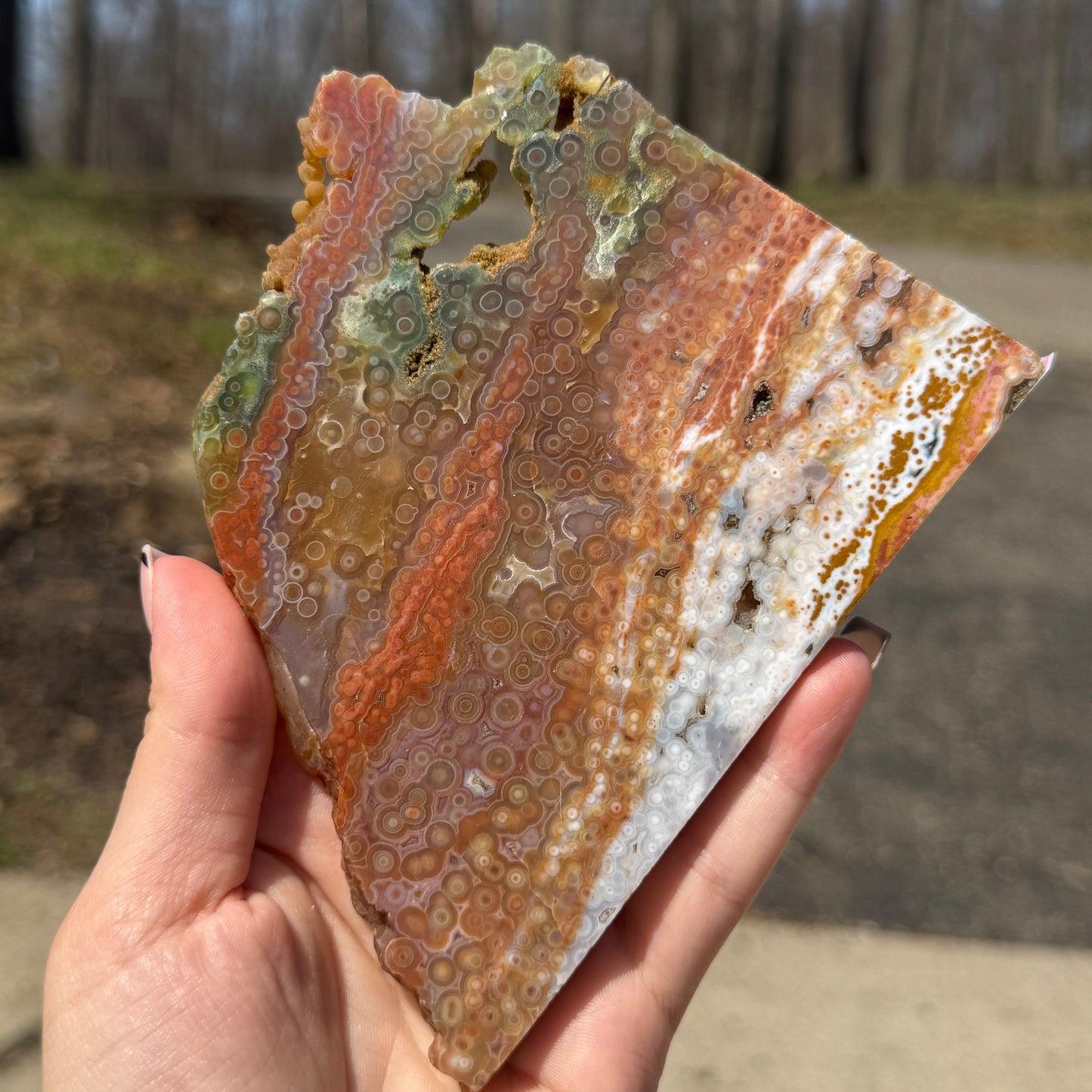 Ocean Jasper Slab