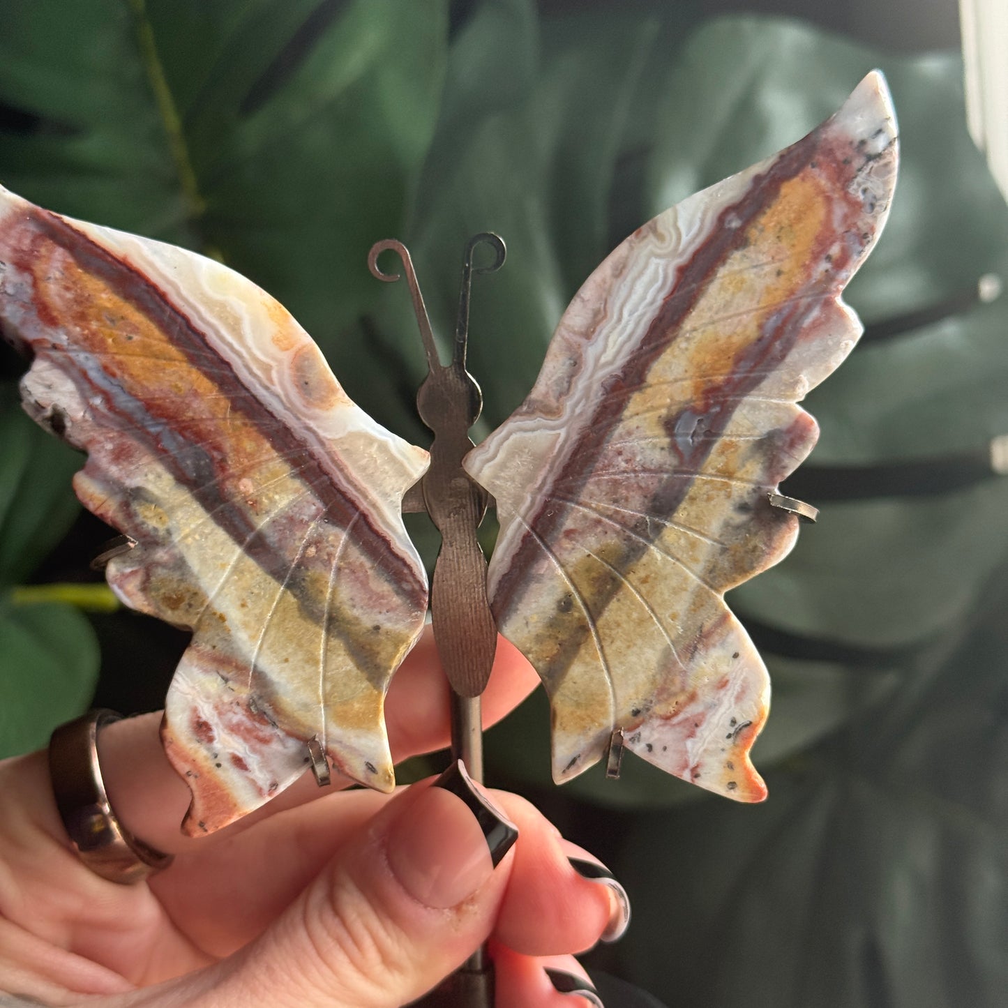 Jasper Butterfly Wings on Stand F
