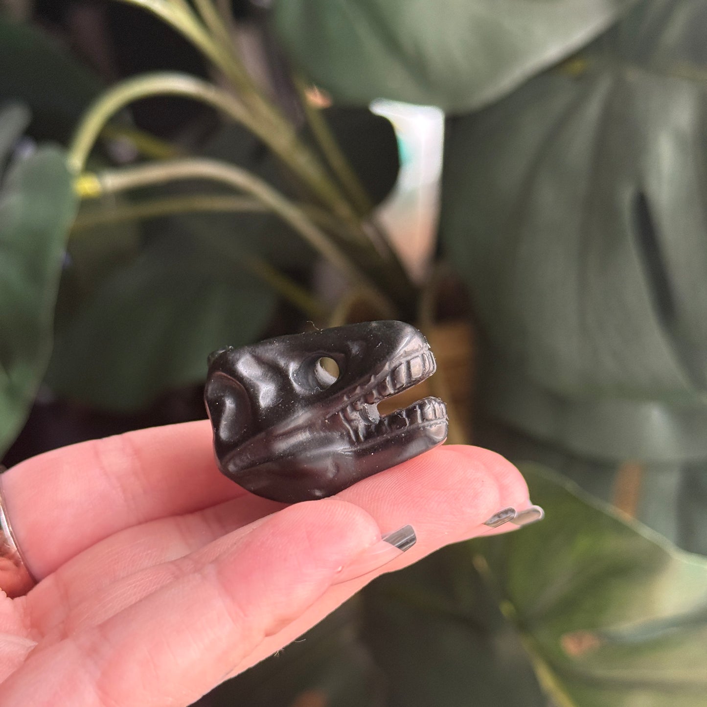 Dino Skull Carving