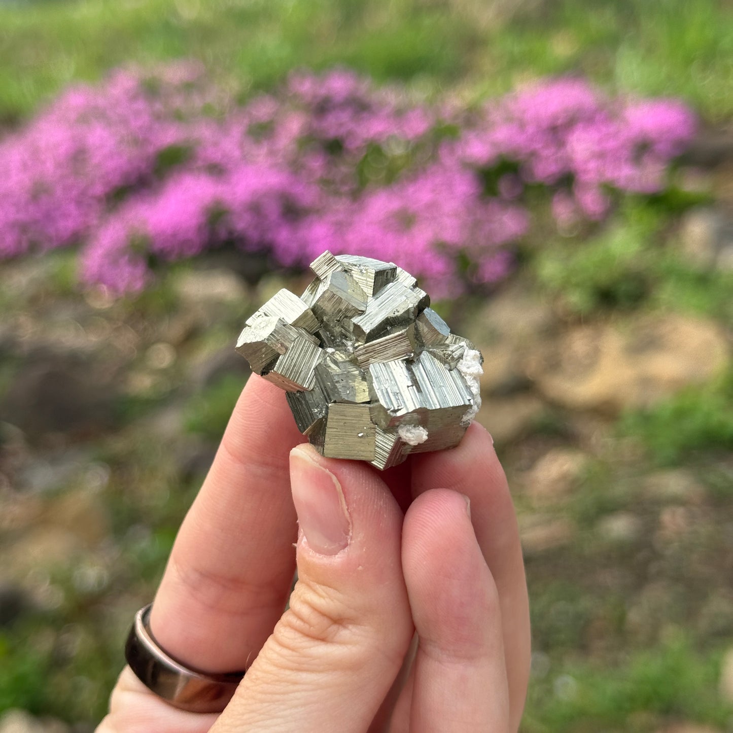 Cubic Pyrite