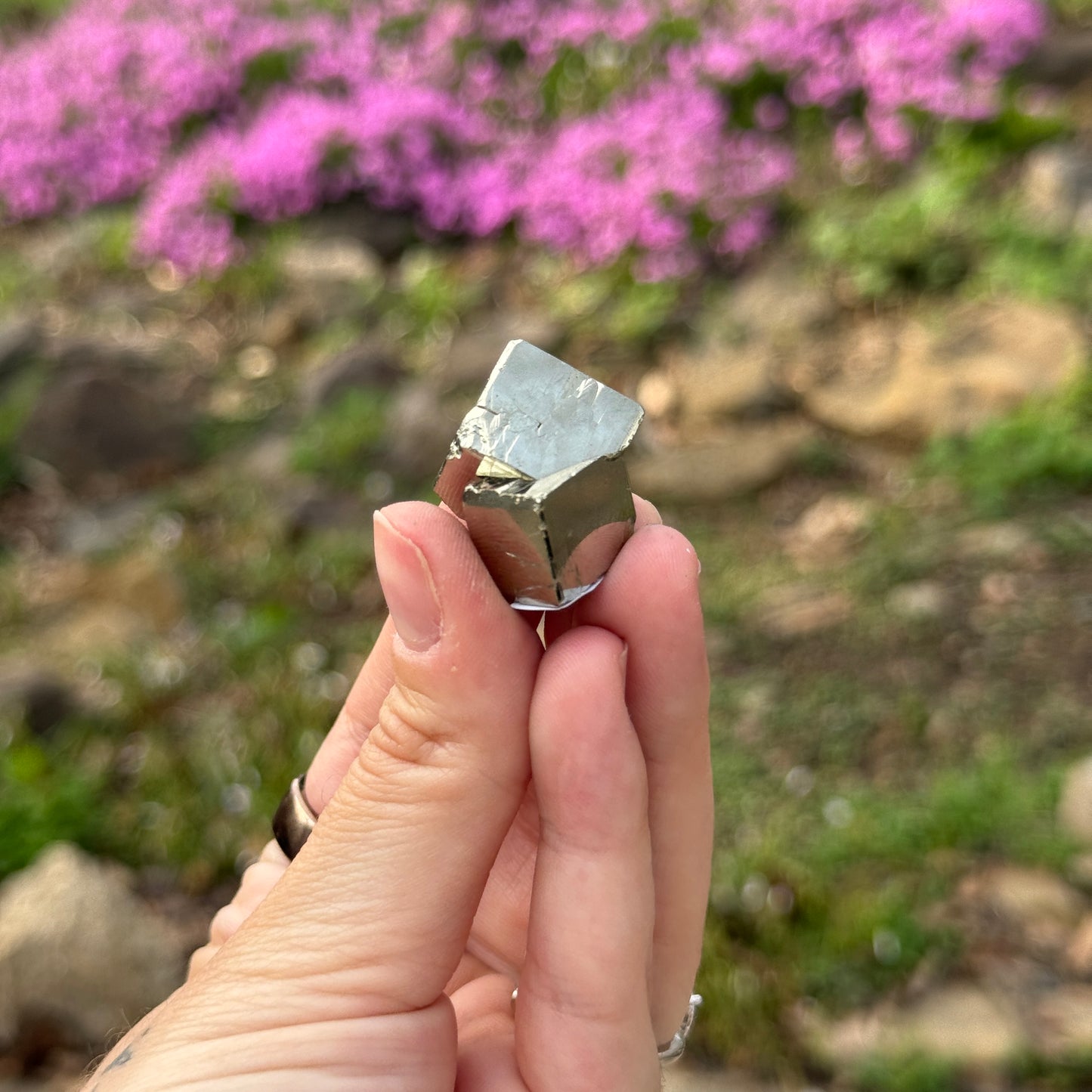 Cubic Pyrite