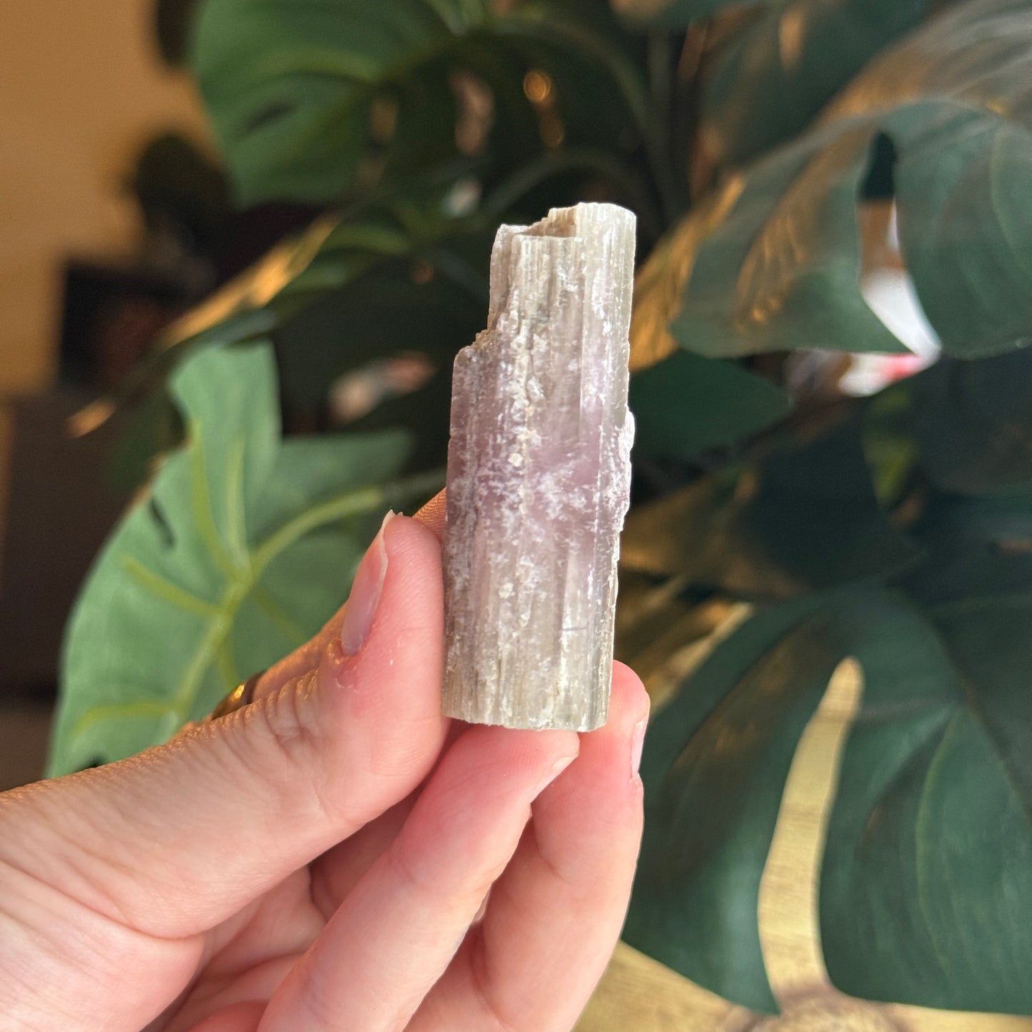 Purple Aragonite