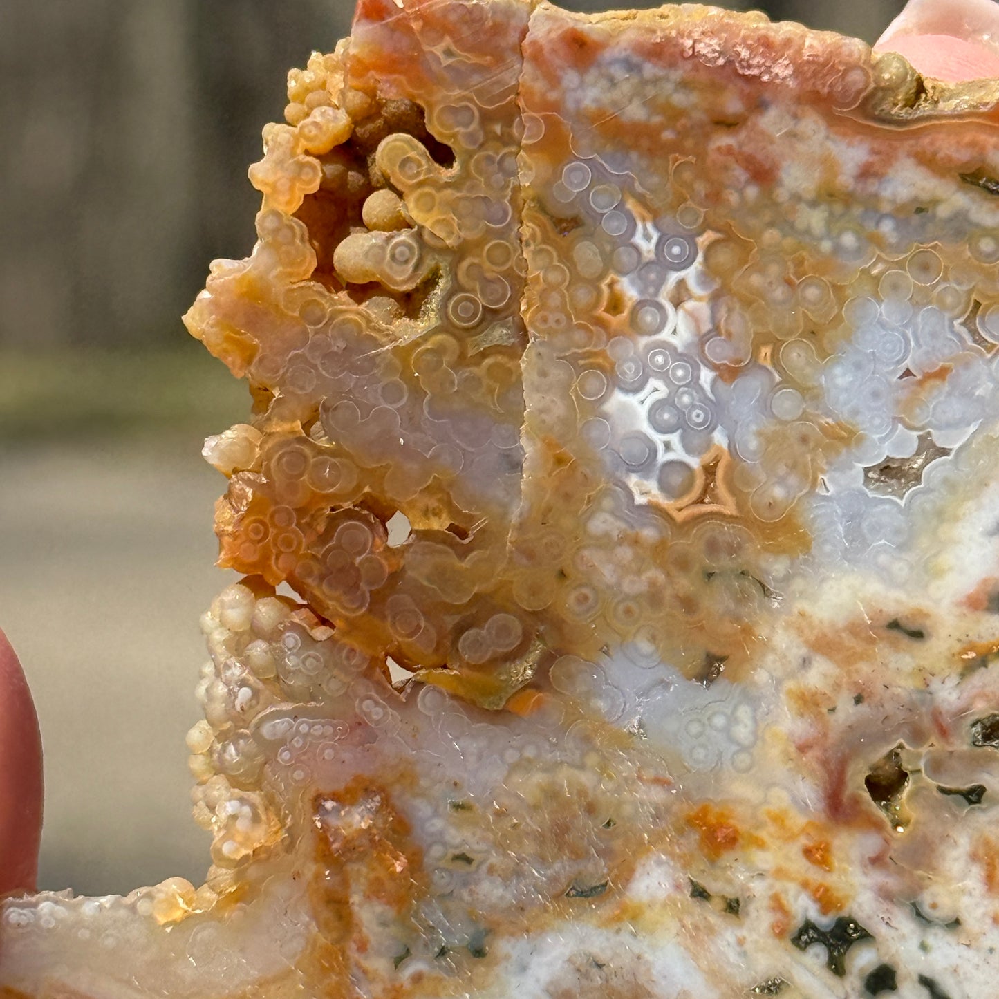 Ocean Jasper Slab