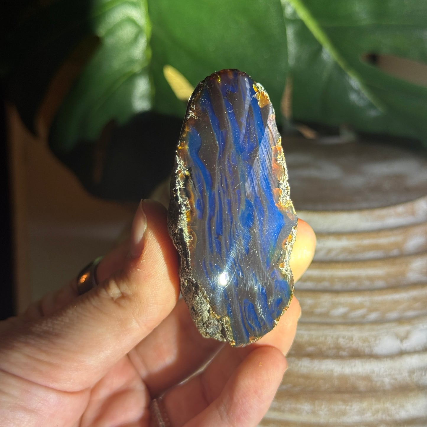 Sumatran Amber