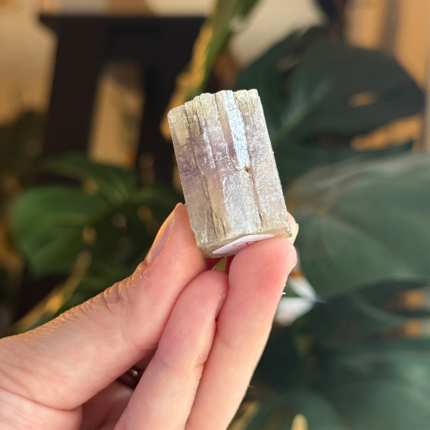 Purple Aragonite
