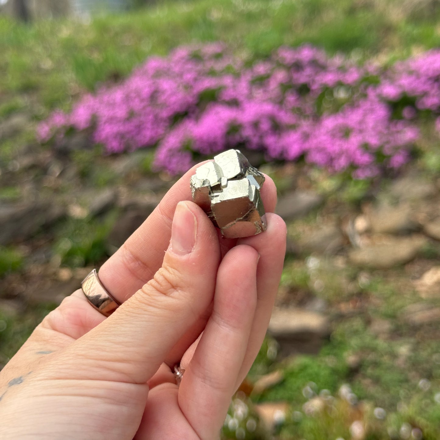 Cubic Pyrite