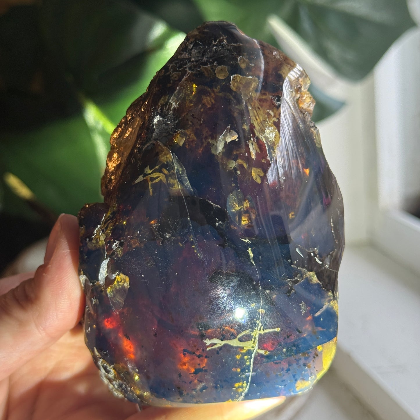 Sumatran Amber
