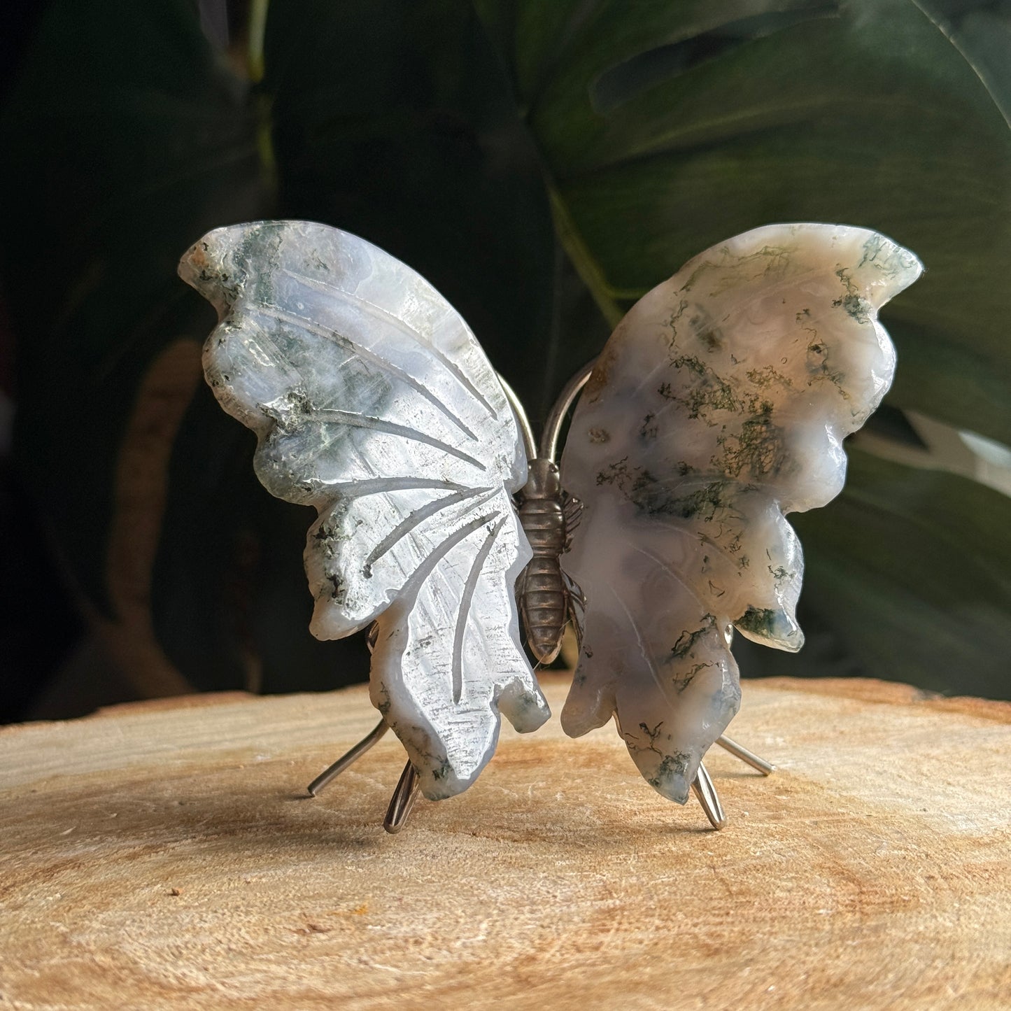 Moss Agate Butterfly H
