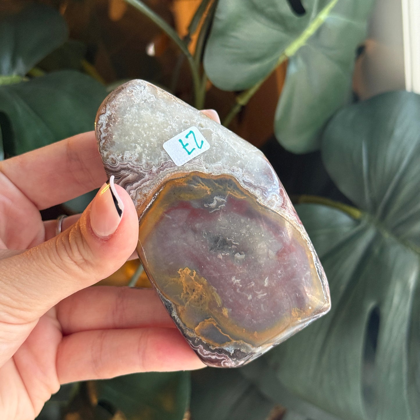 Crazy Lace Agate