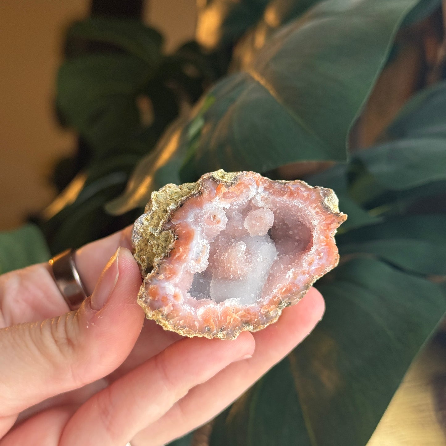 Botryoidal Chalcedony
