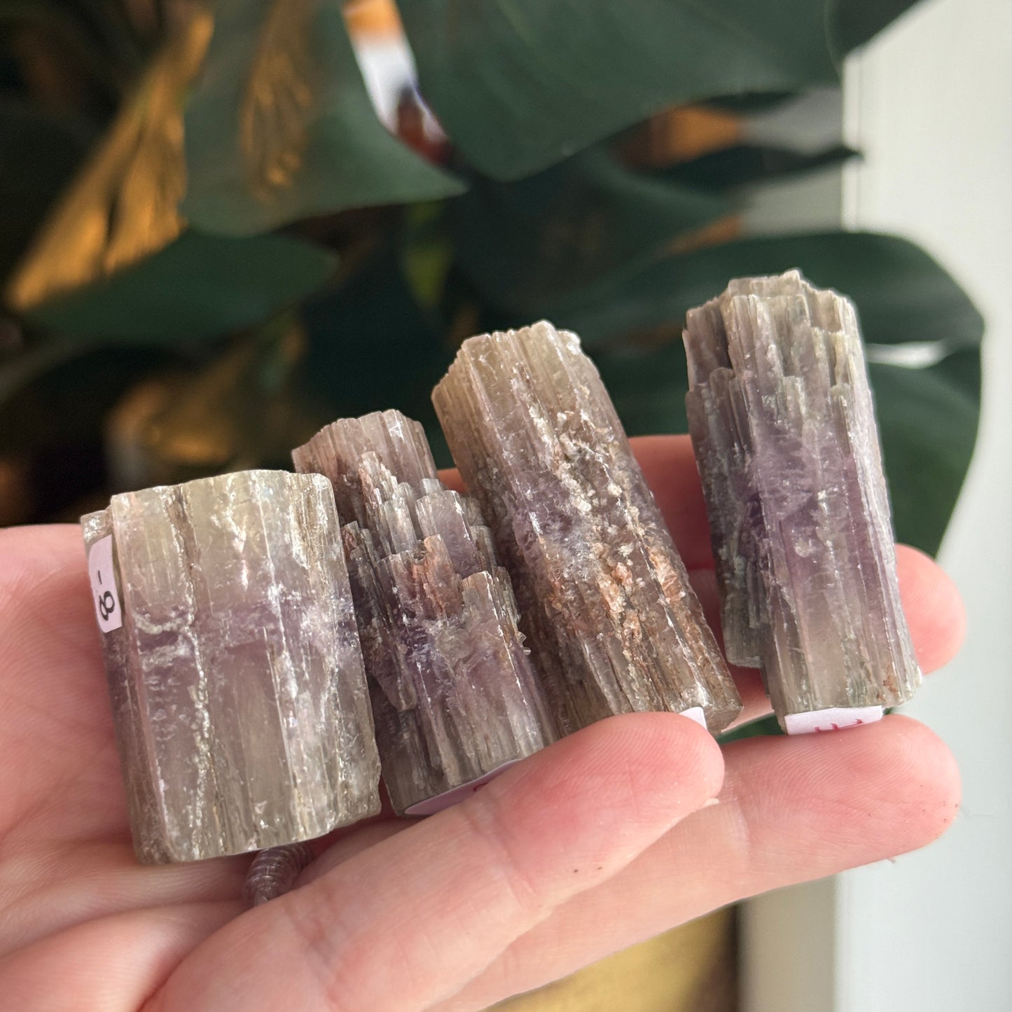 Purple Aragonite