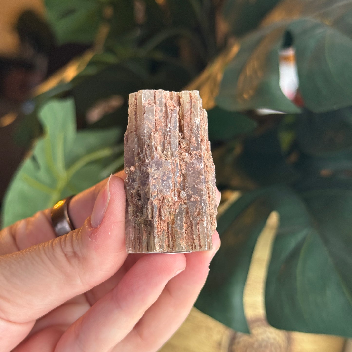 Purple Aragonite