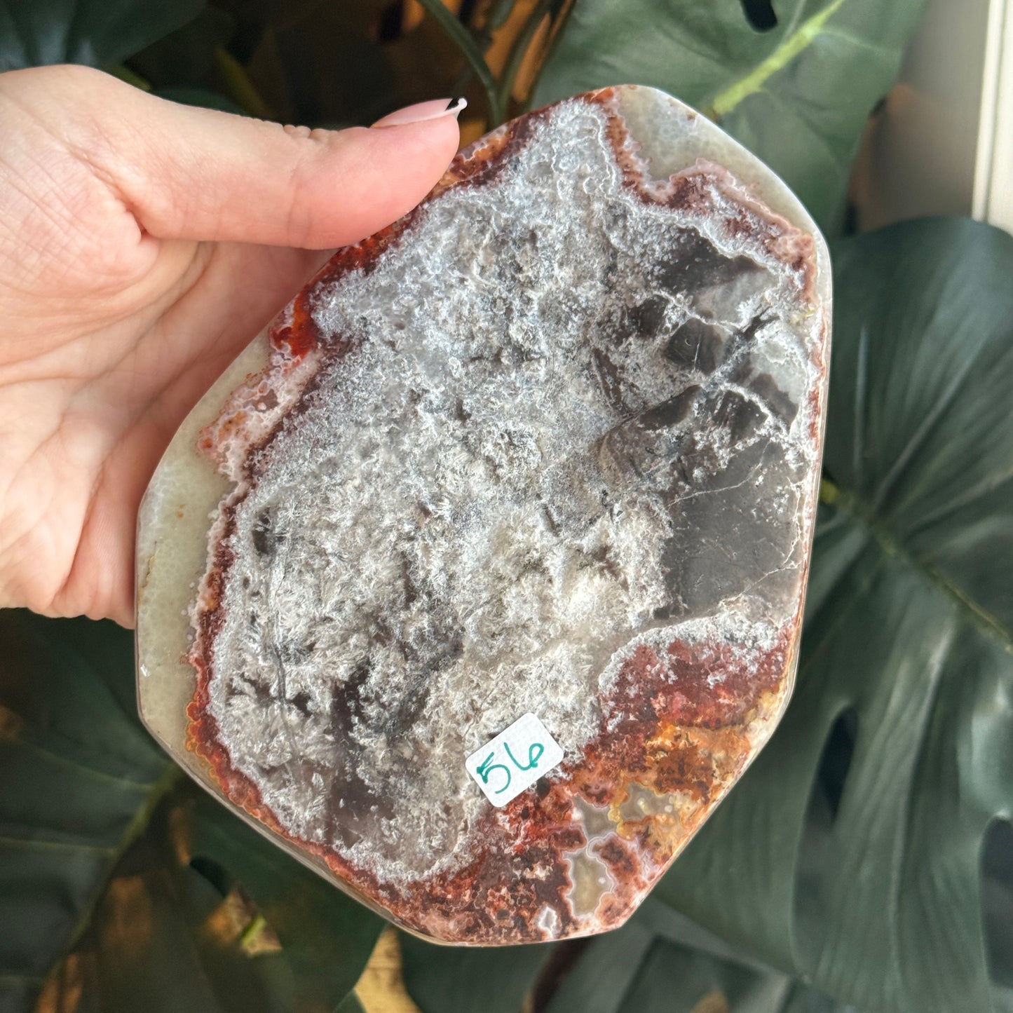 Crazy Lace Agate *comes with stand*