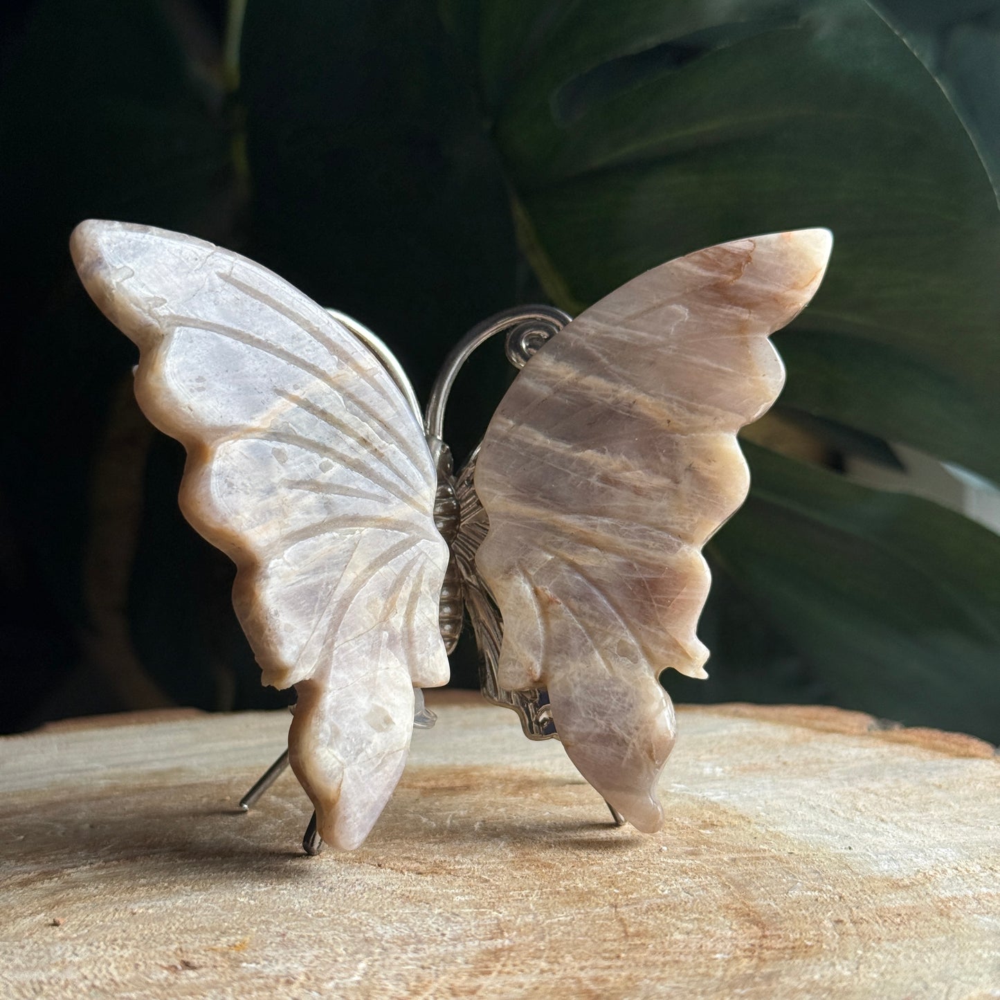 Peach Moonstone Butterfly F