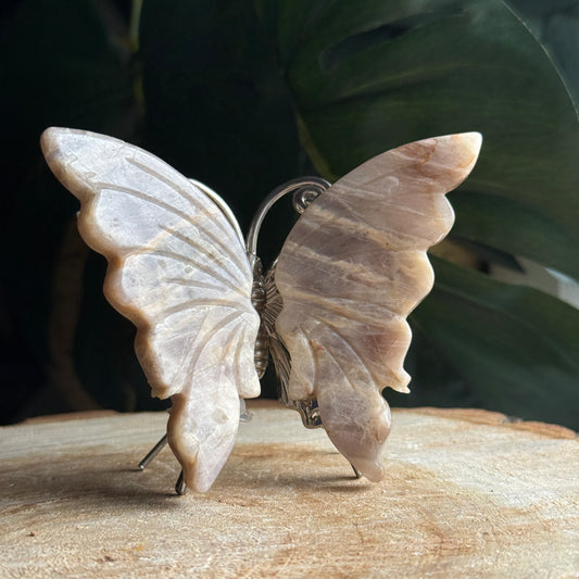 Peach Moonstone Butterfly F