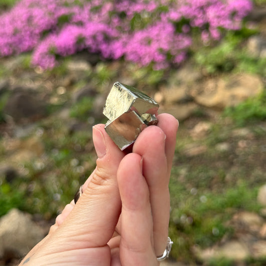 Cubic Pyrite