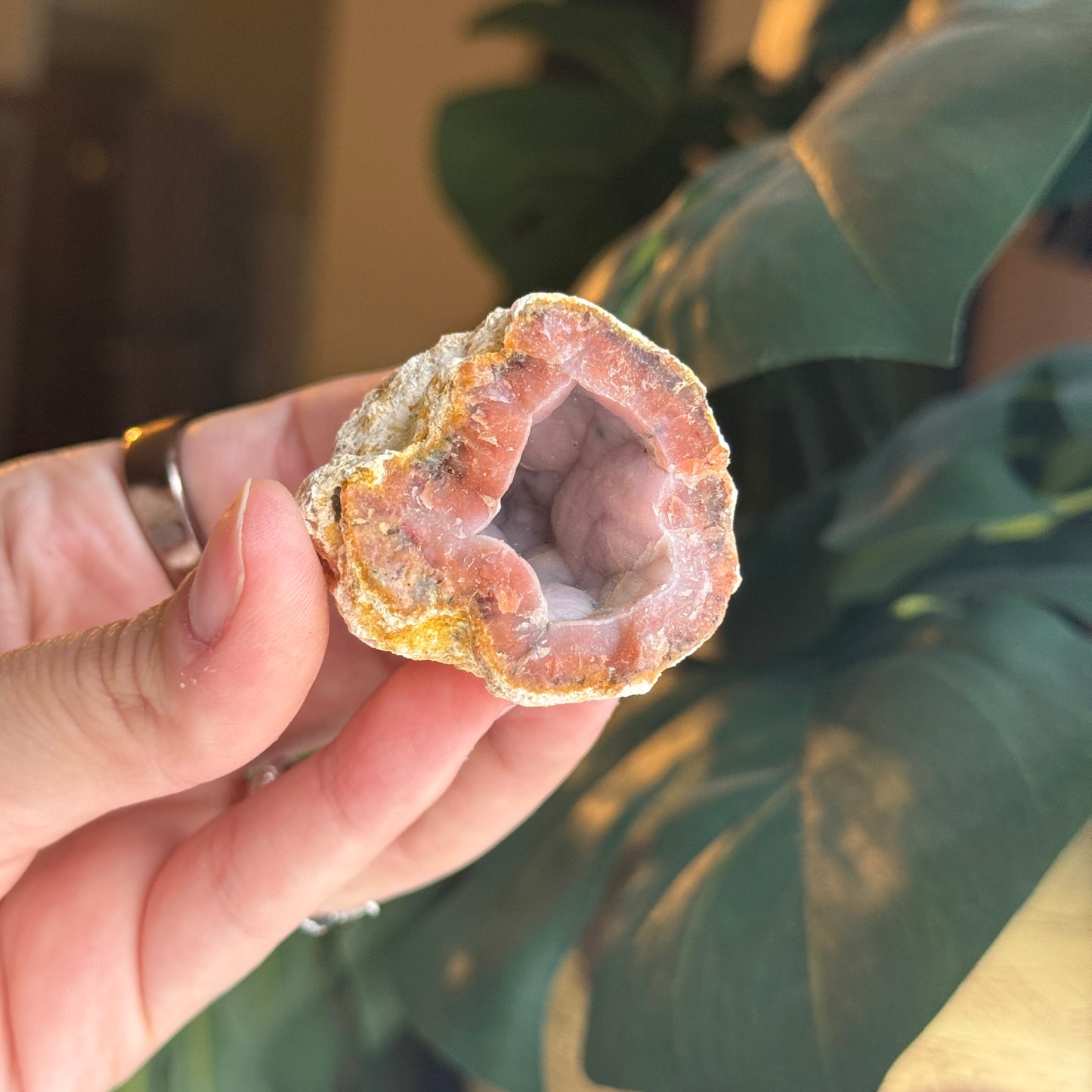 Botryoidal Chalcedony