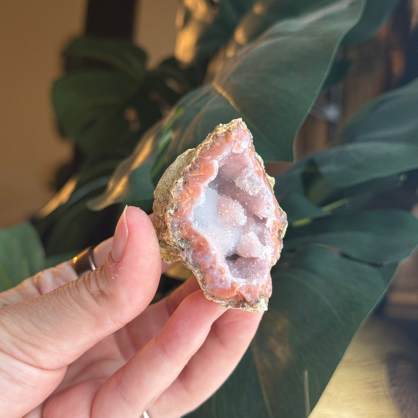 Botryoidal Chalcedony