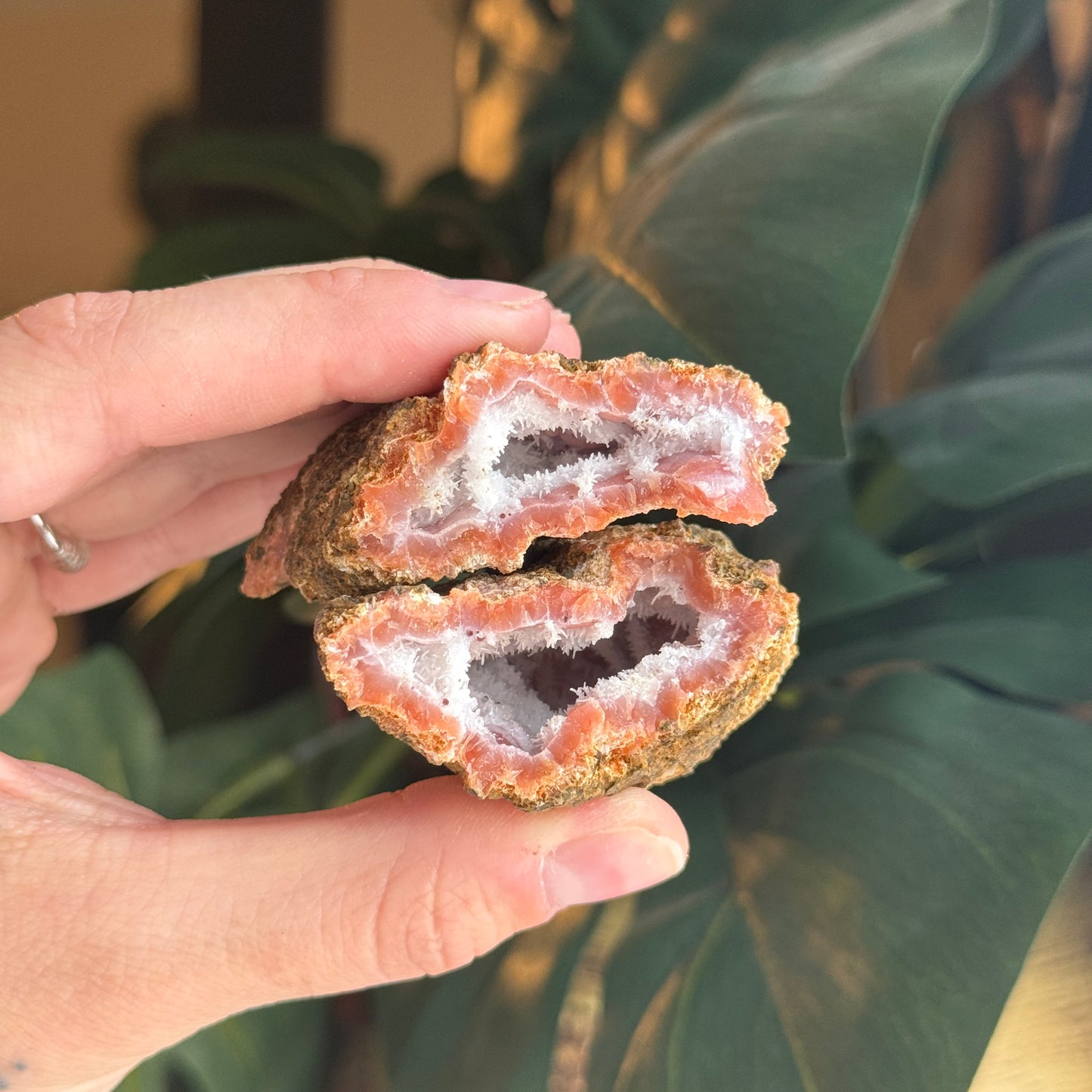 Botryoidal Chalcedony Raw Geode *PAIR*