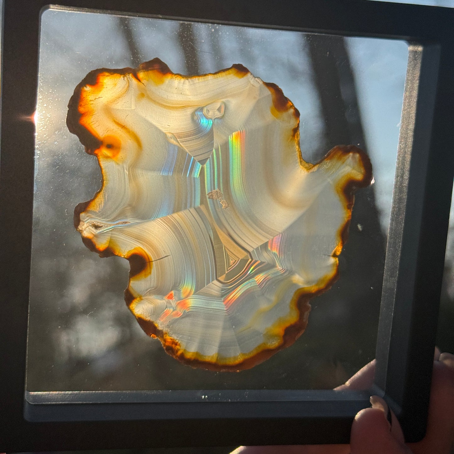 Iris Agate A