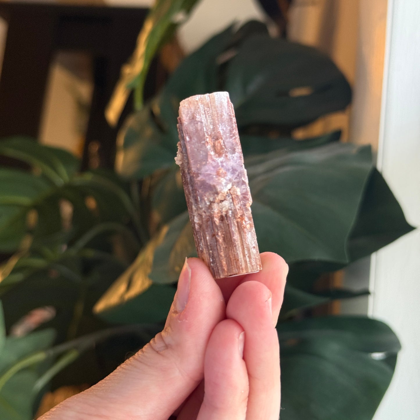 Purple Aragonite