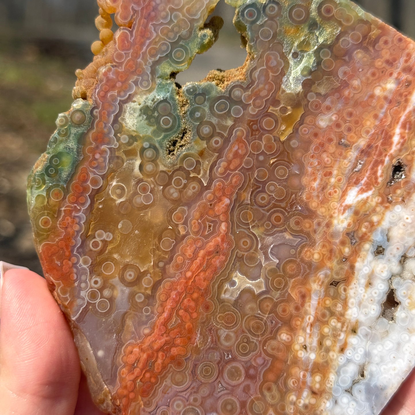 Ocean Jasper Slab