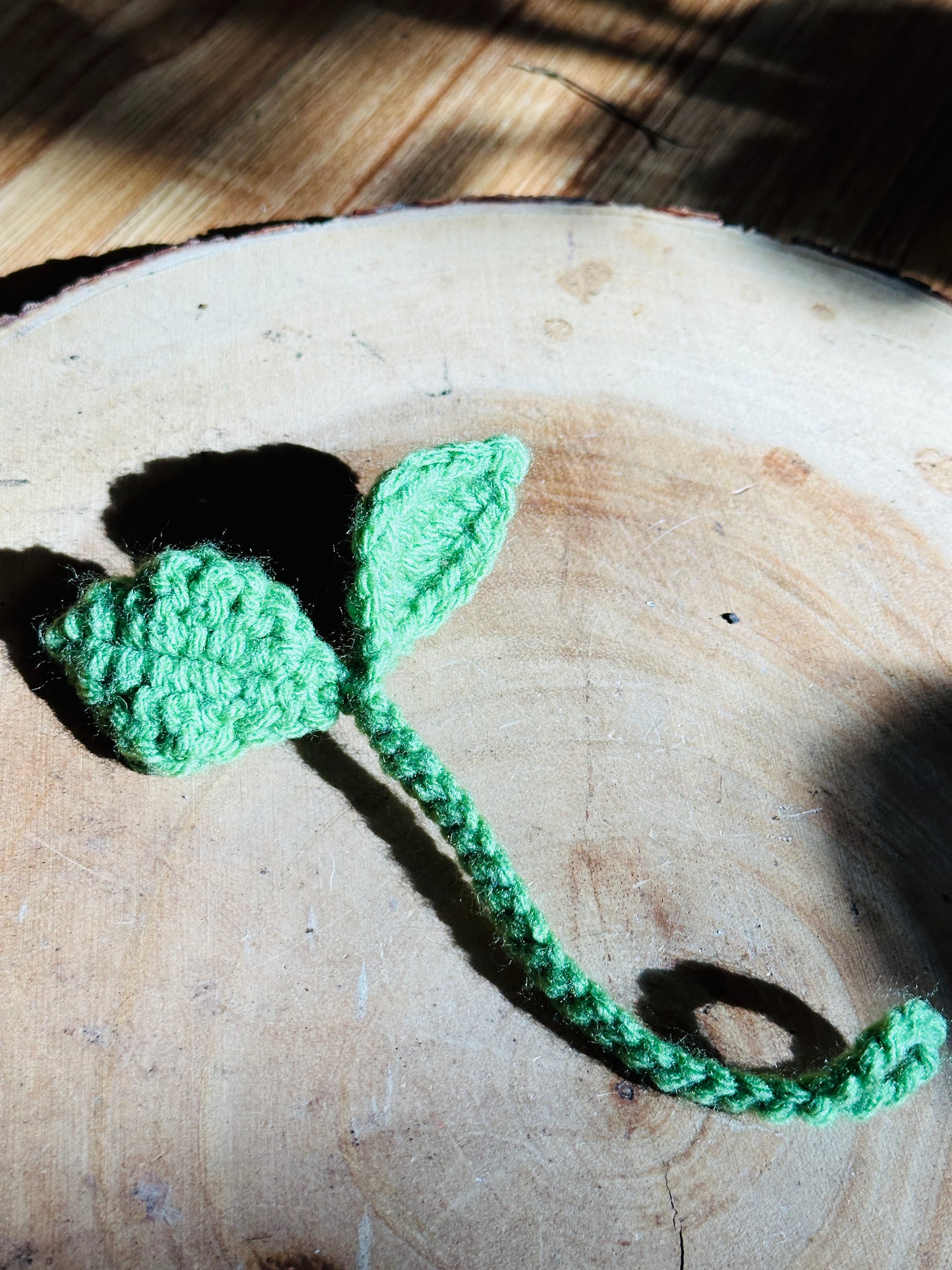 Little Sprout Crochet Accessory