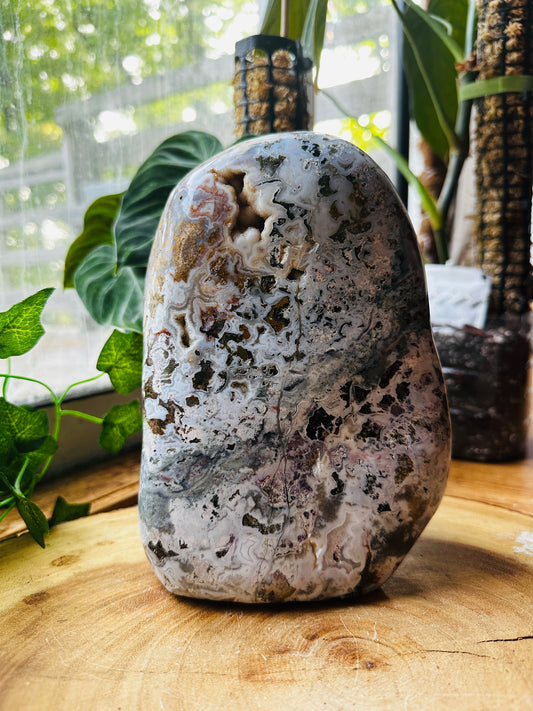 Jasper Freeform 8lbs