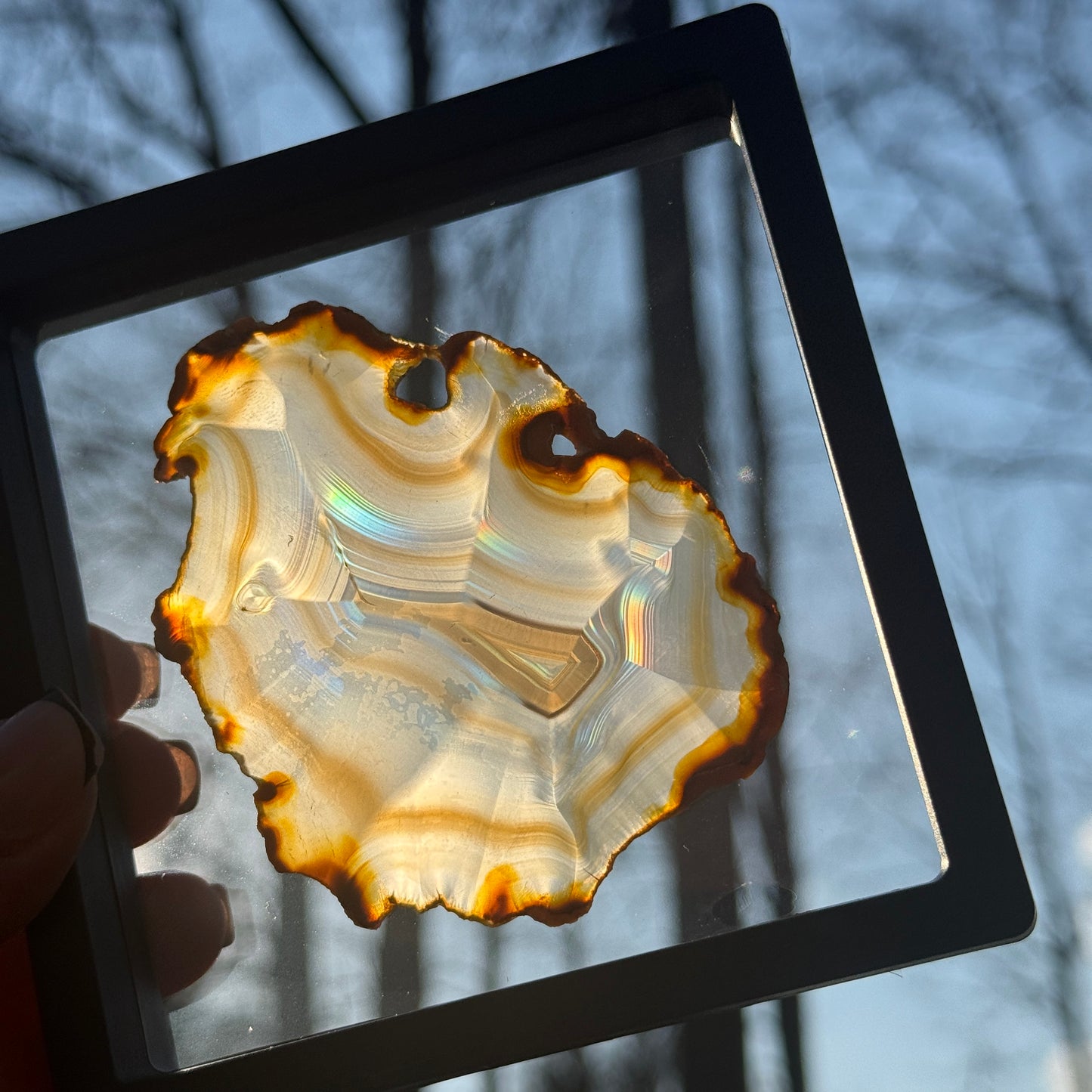 Iris Agate K