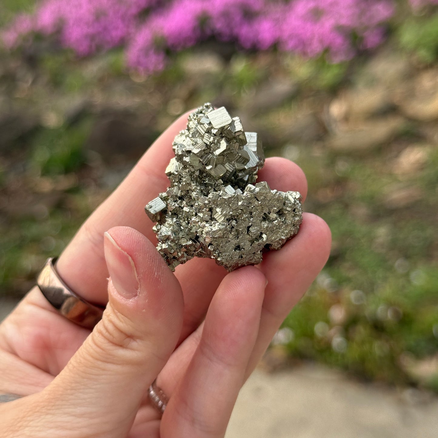 Cubic Pyrite