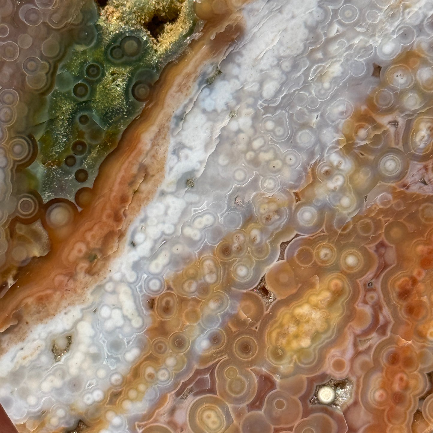 Ocean Jasper Slab