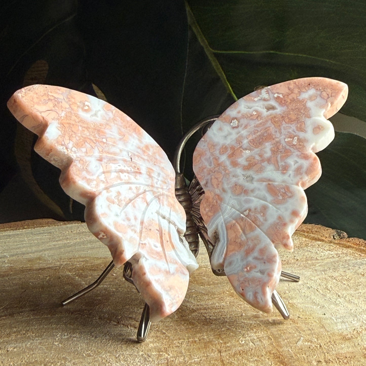 Cotton Candy Agate Butterfly D
