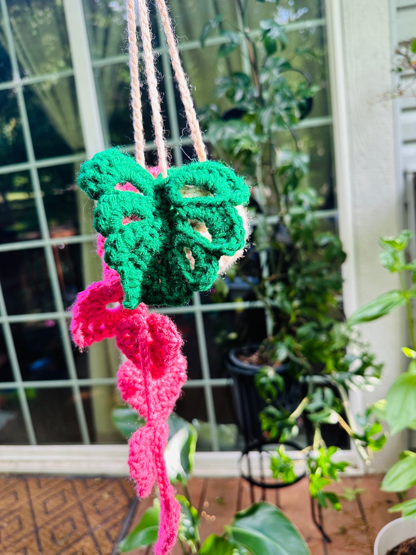 Crochet Hanging Plant