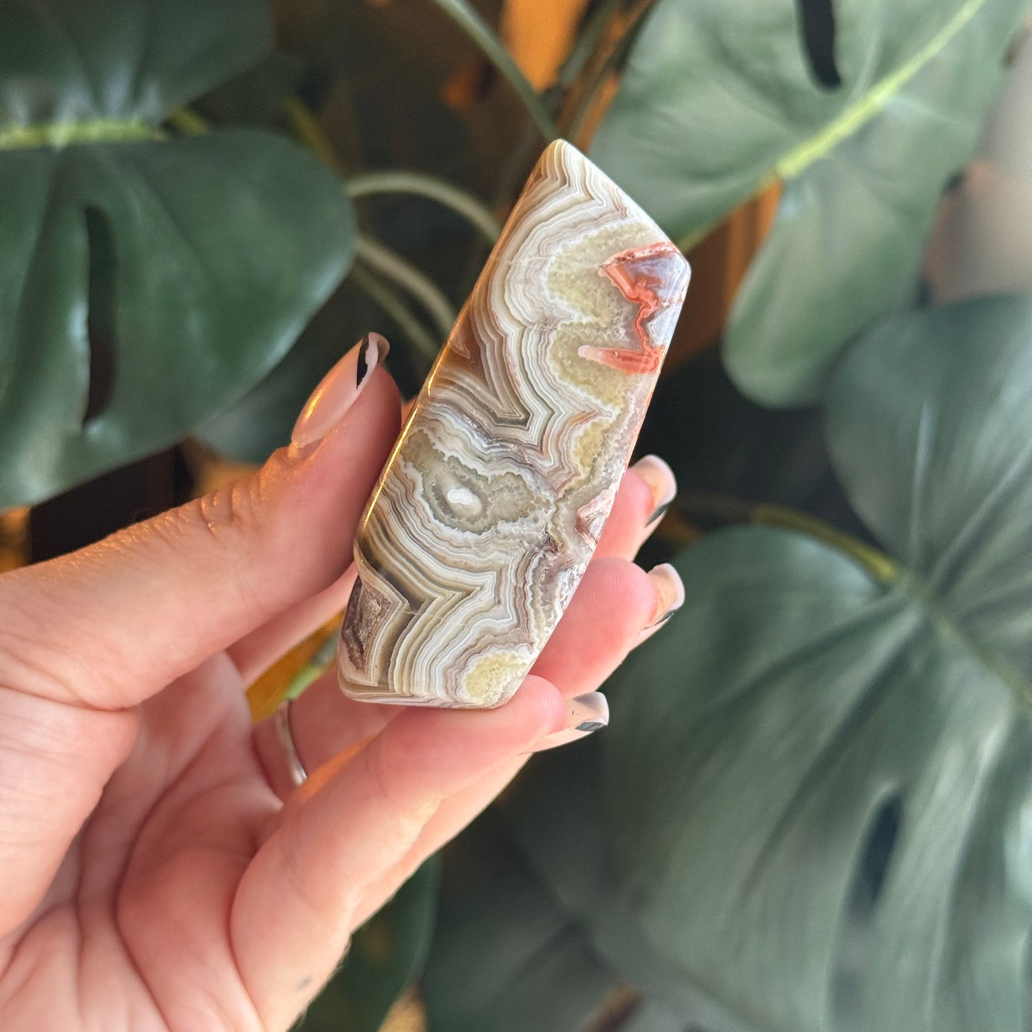 Crazy Lace Agate