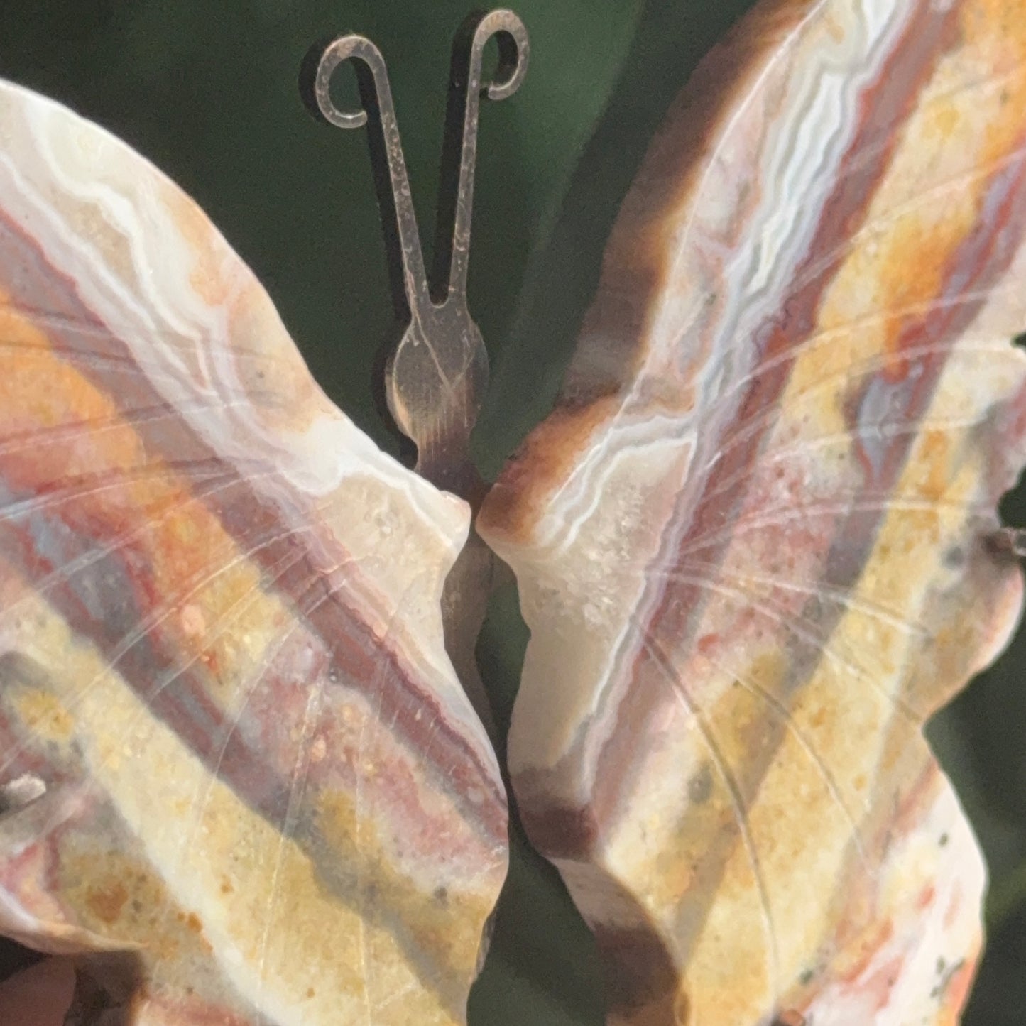 Jasper Butterfly Wings on Stand F