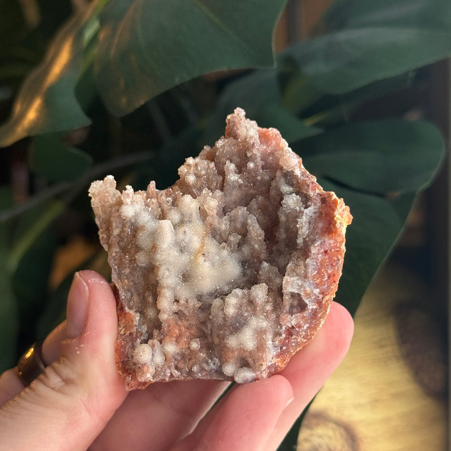 Botryoidal Chalcedony Stalactite
