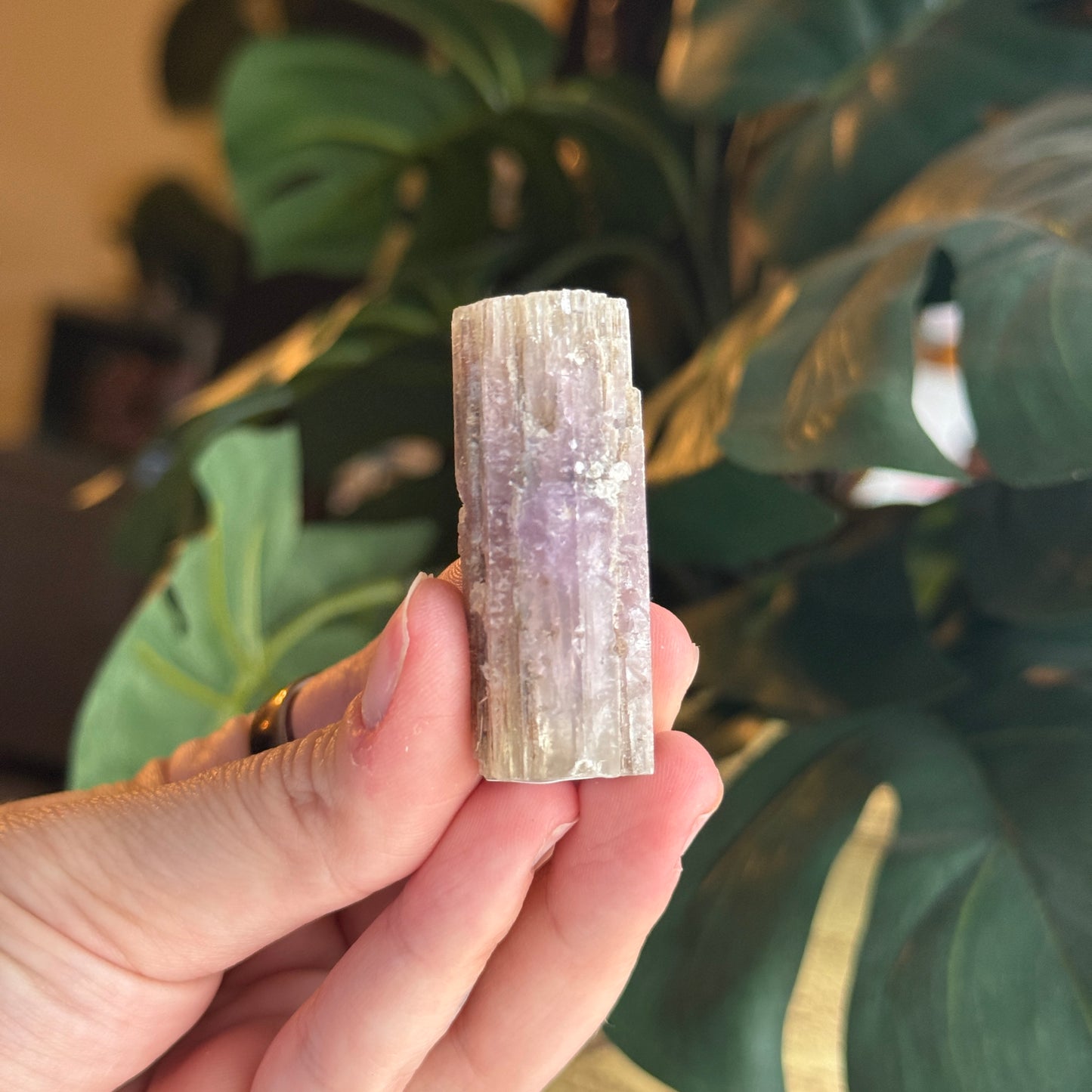 Purple Aragonite