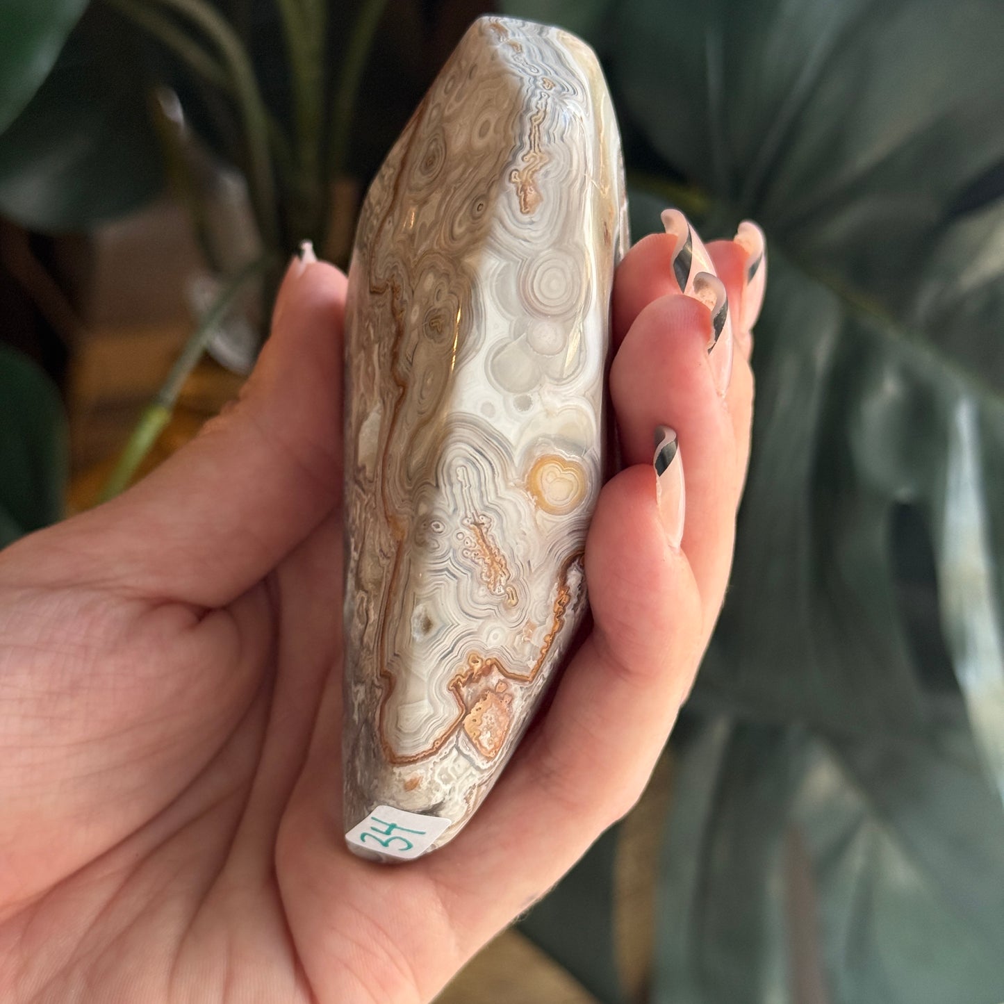 Crazy Lace Agate