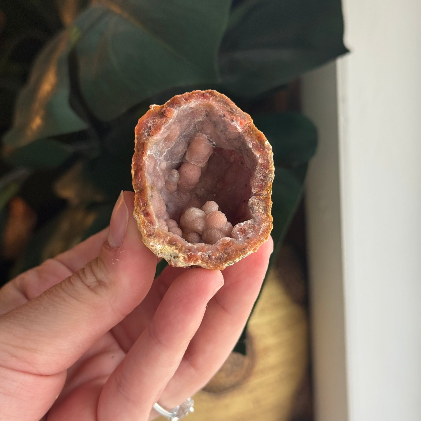 Botryoidal Chalcedony