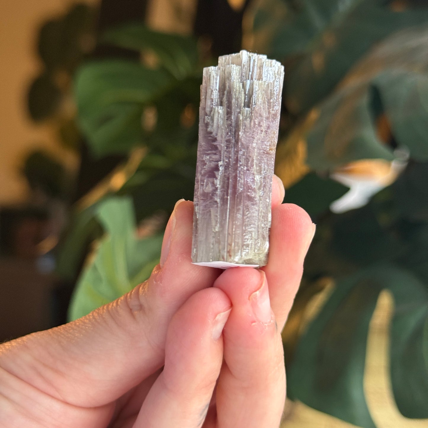 Purple Aragonite