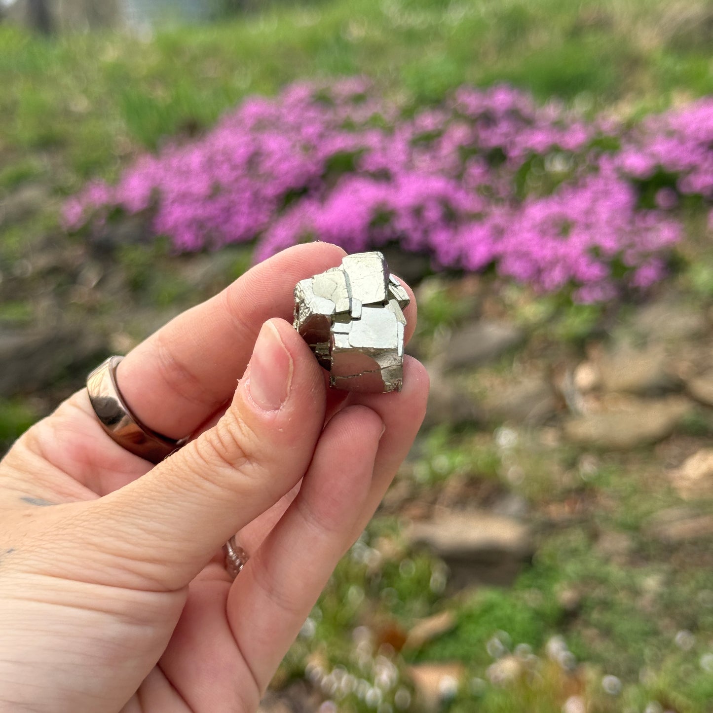 Cubic Pyrite