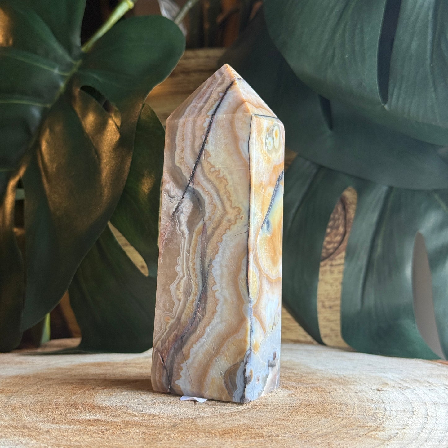 Agate Point