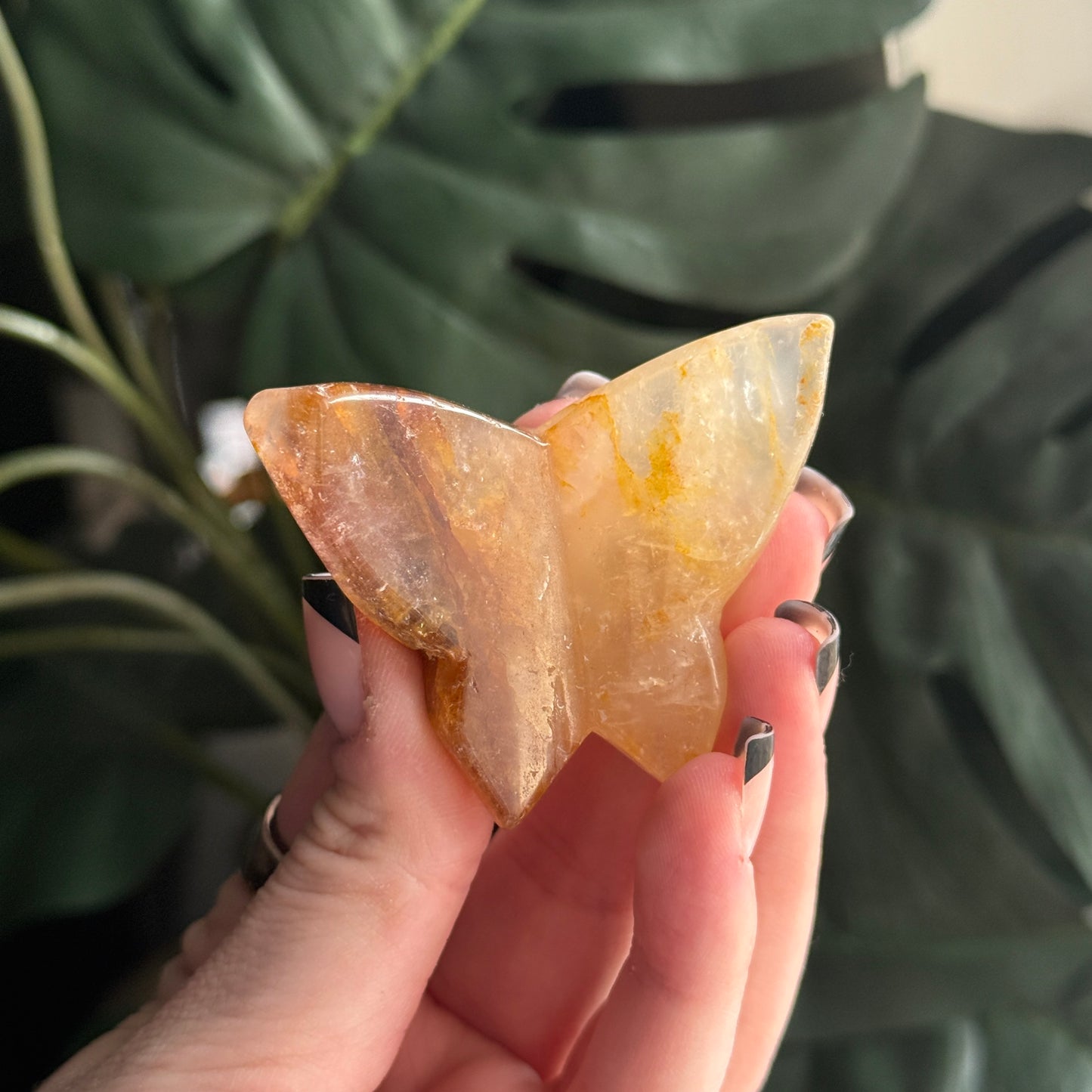 Fire Quartz 3D Butterfly A