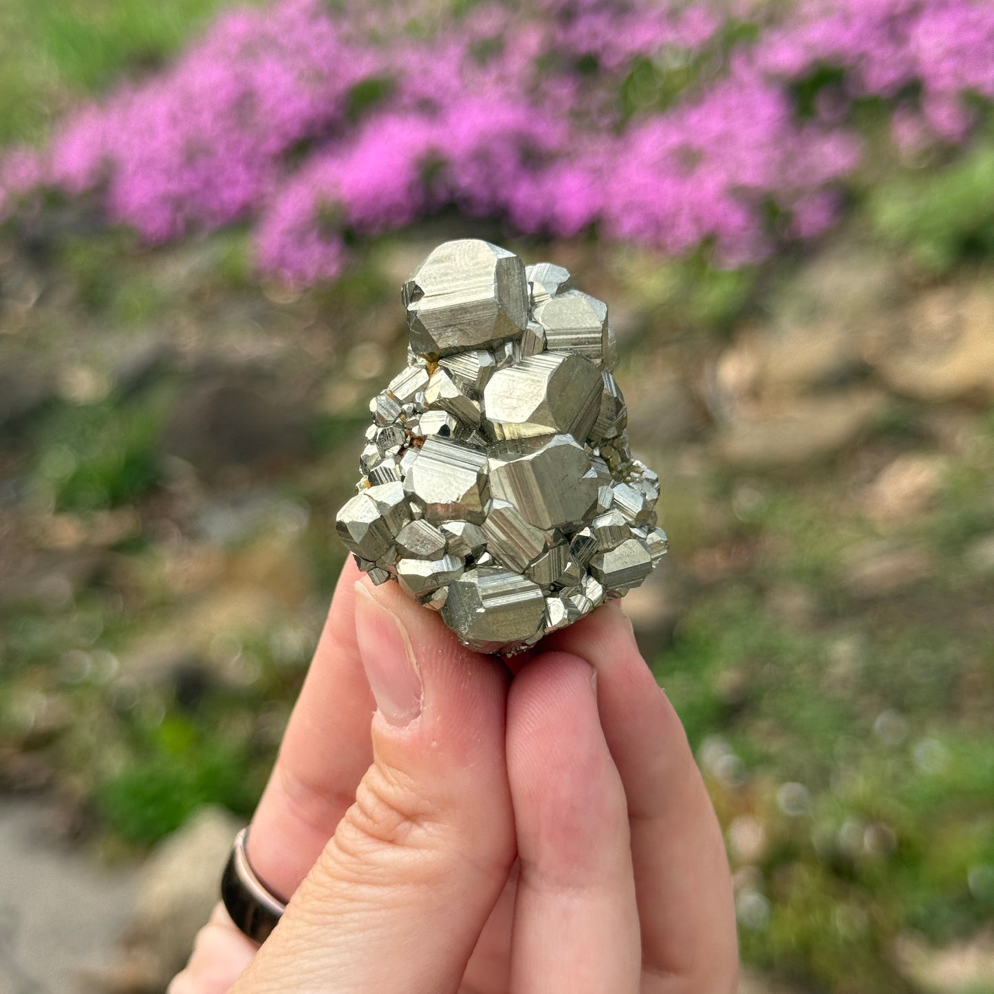 Cubic Pyrite