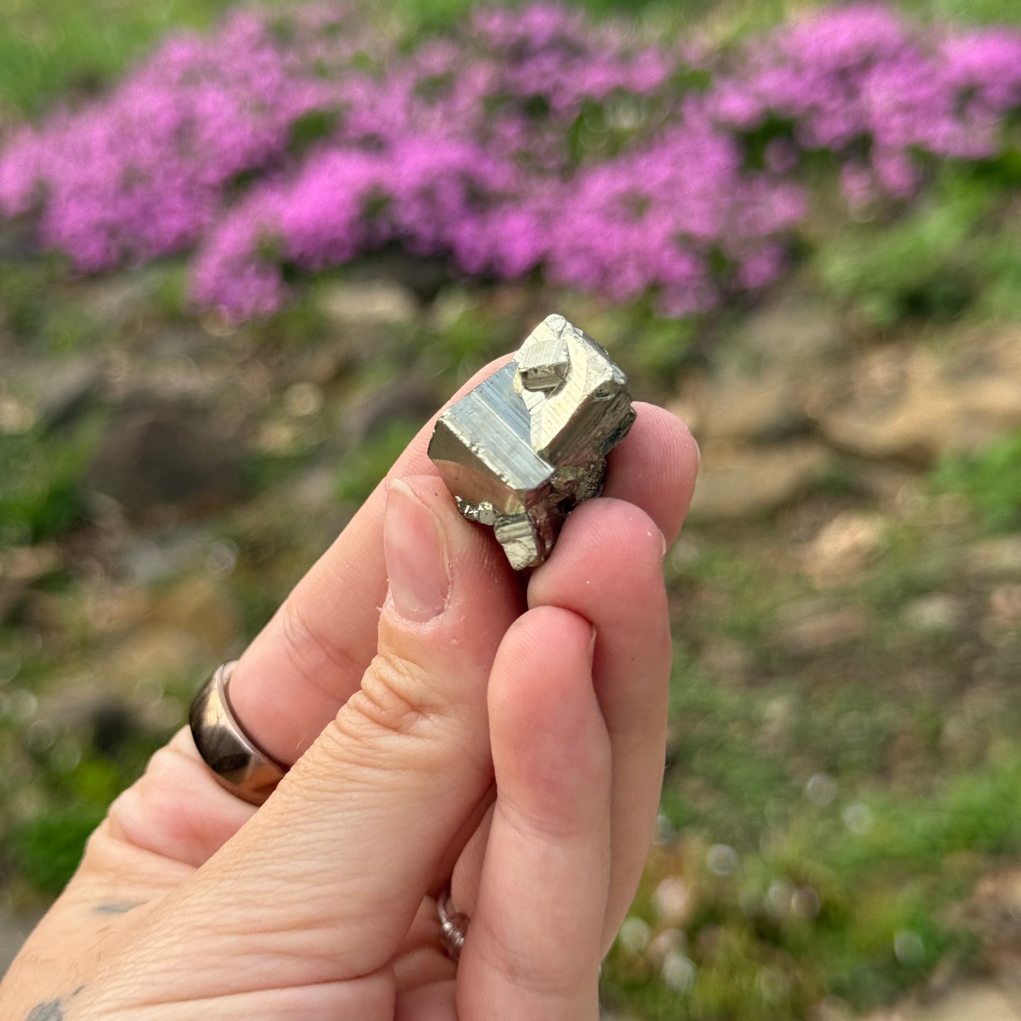 Cubic Pyrite