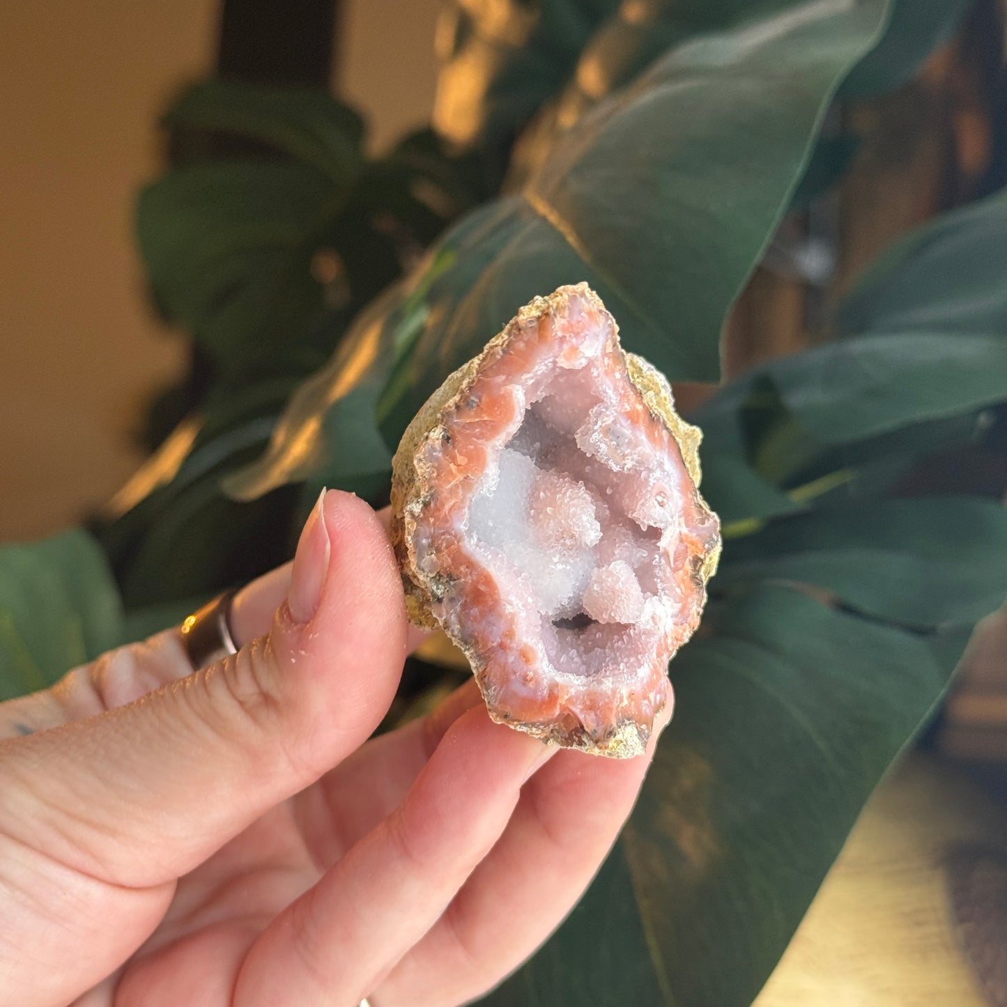 Botryoidal Chalcedony