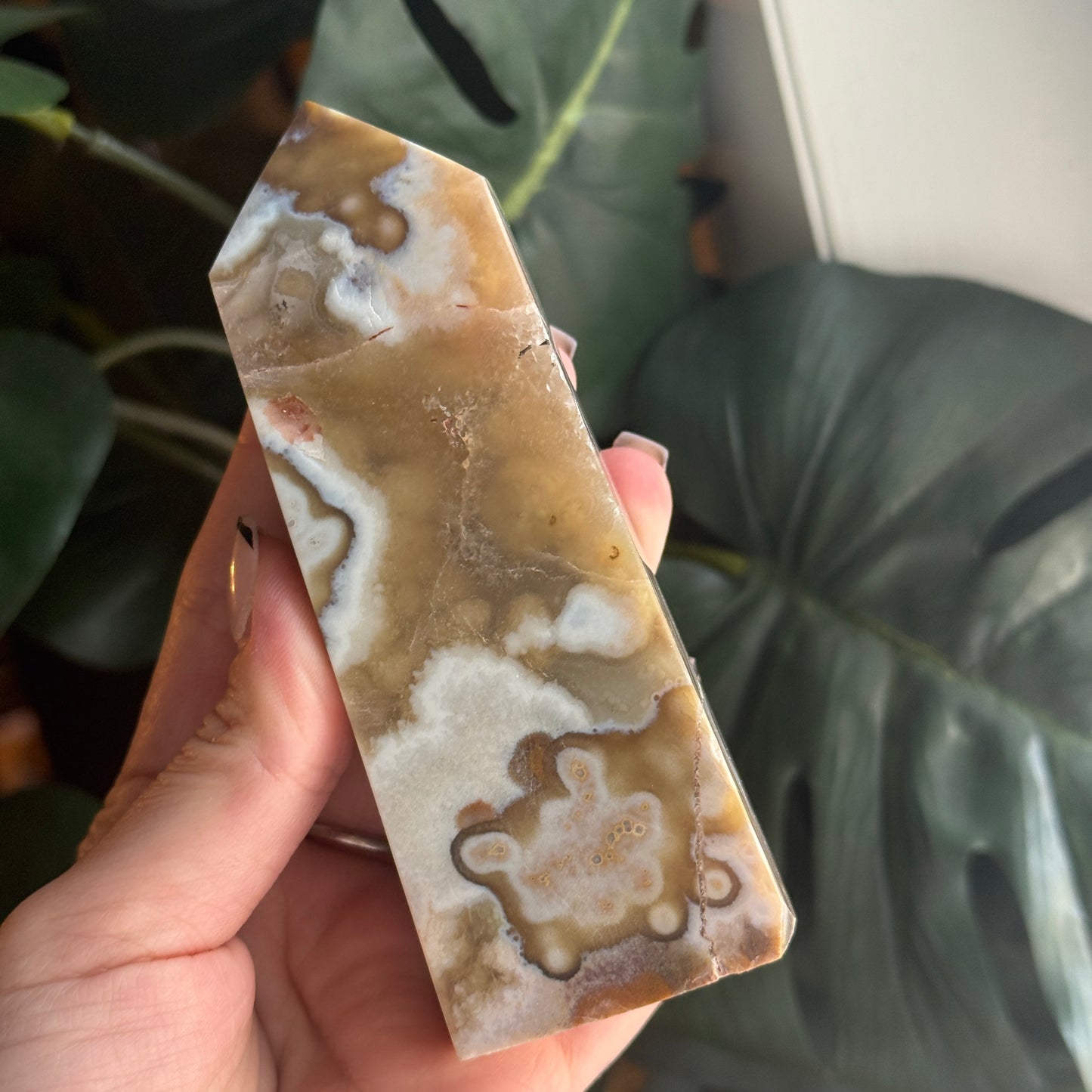 Agate Point