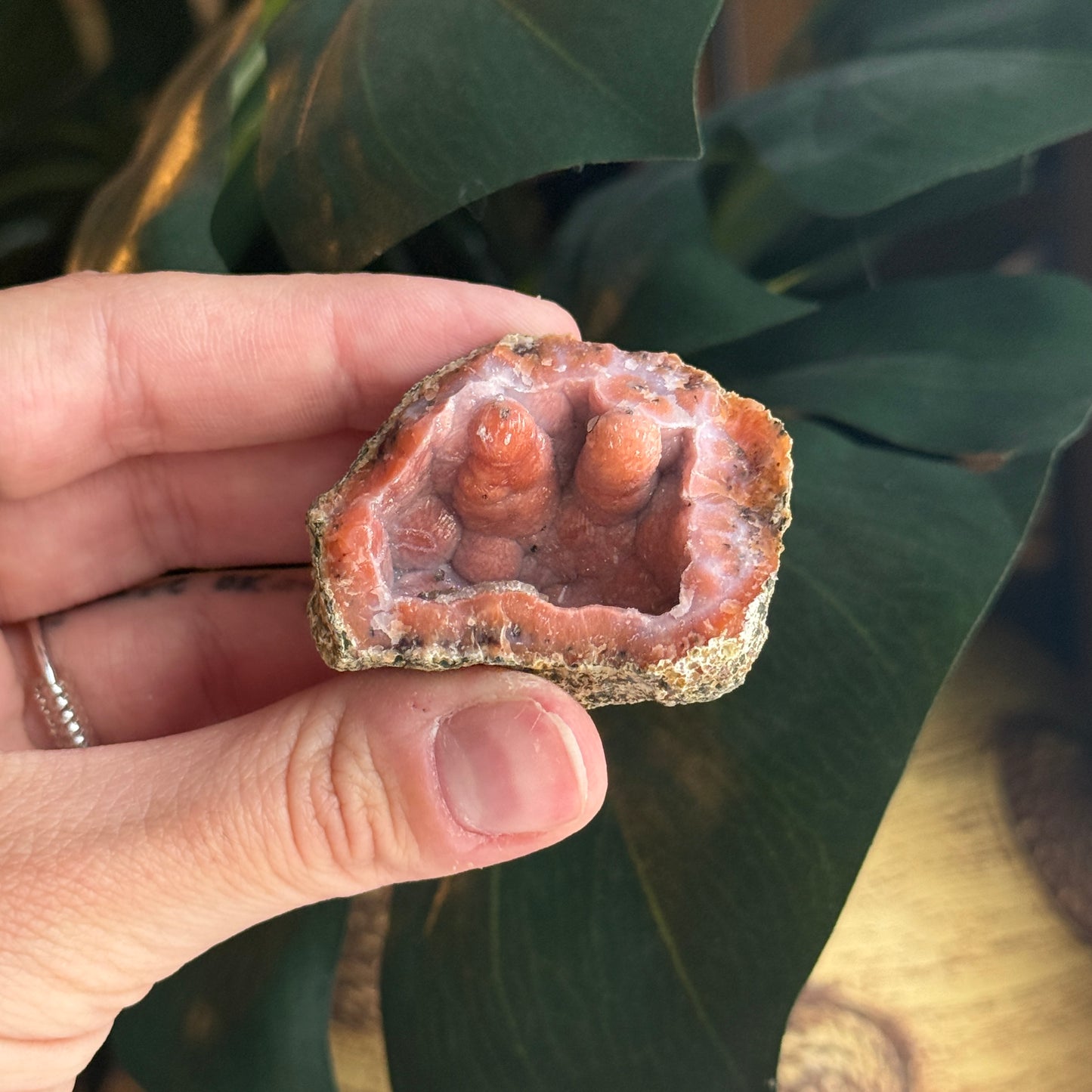 Botryoidal Chalcedony